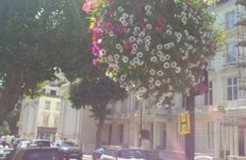 hanging-baskets