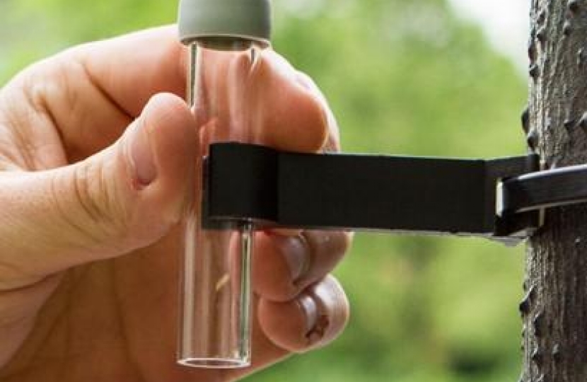 Bryanston and Dorset Square Matters