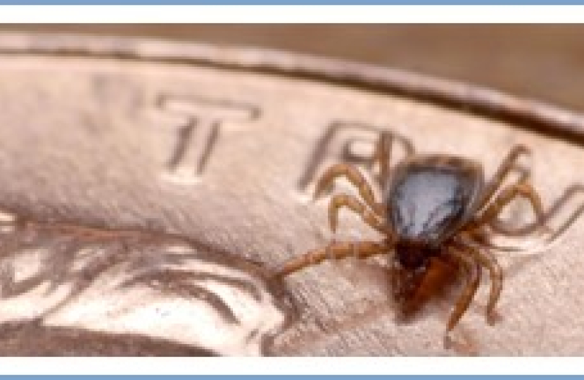 Bryanston and Dorset Square Matters