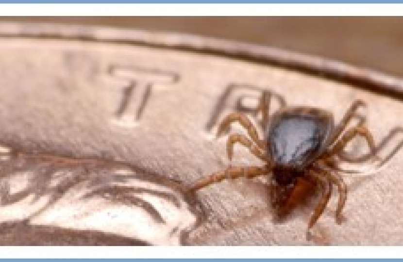 Bryanston and Dorset Square Matters