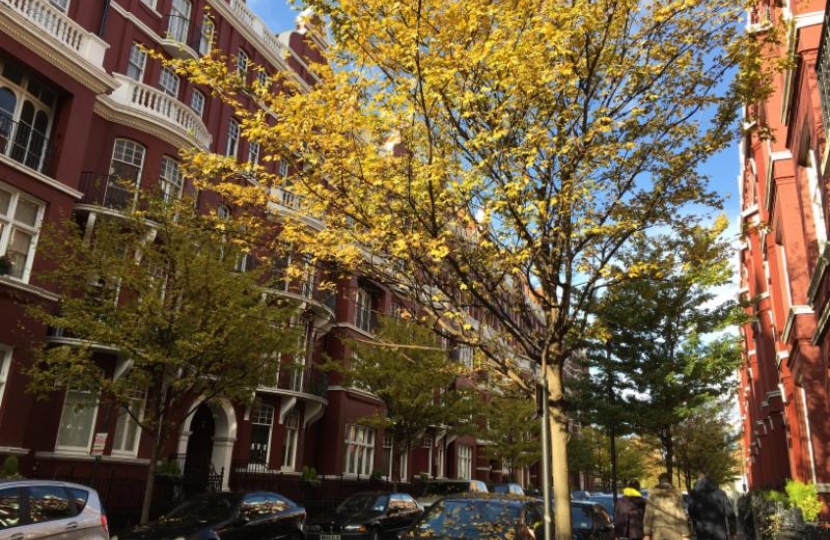 Bryanston and Dorset Square Matters