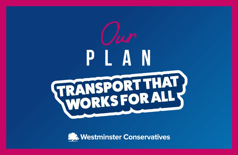 Transport That Works for All