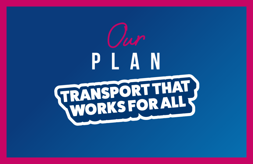 Transport That Works for All