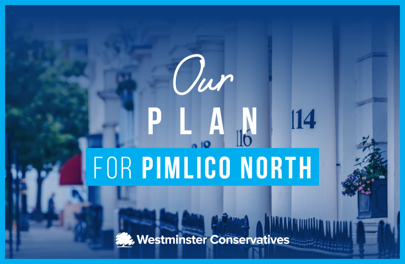 Our Plan for Pimlico North