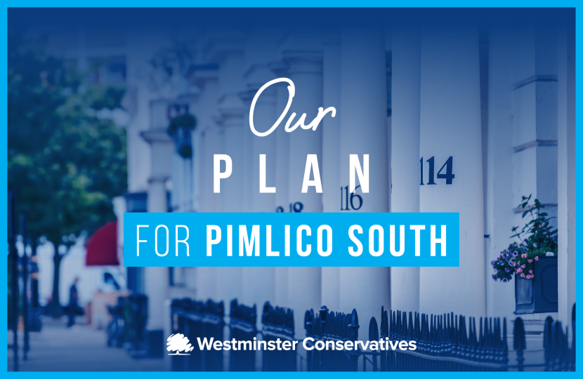 Our Plan for Pimlico South