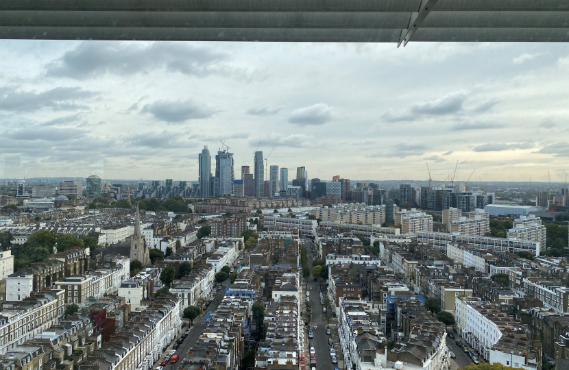 Pimlico skyline
