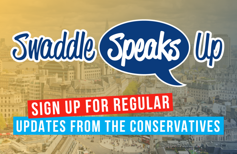 Swaddle Speaks Up 