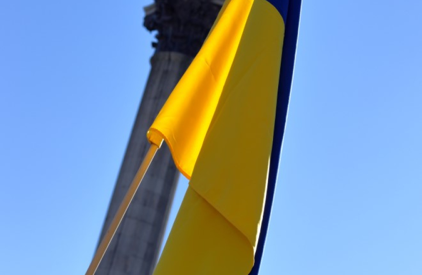 Ukrainian Flag