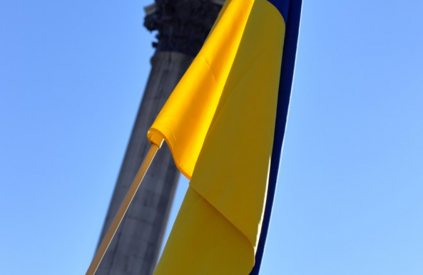 Ukrainian Flag