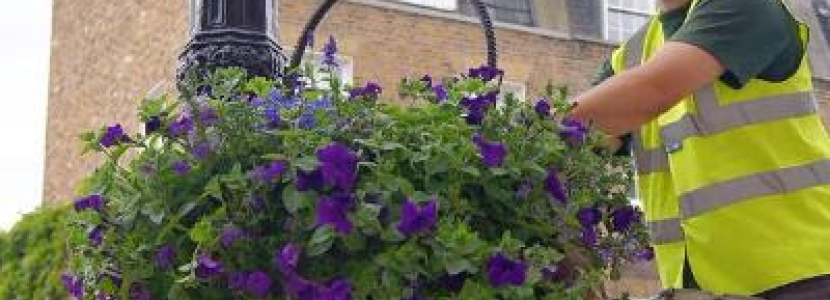 Hanging Baskets 