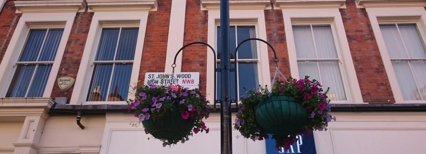 Hanging Baskets 