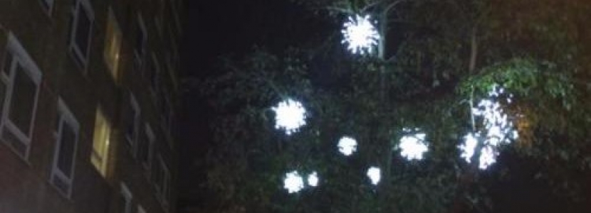 Christmas Lights 