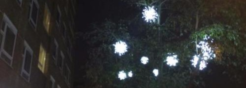 Christmas Lights 