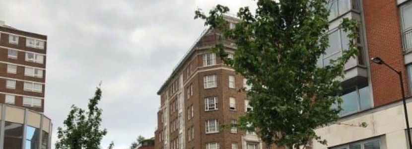 Burwood Place
