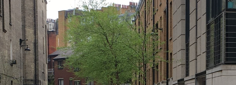 Siddons Lane