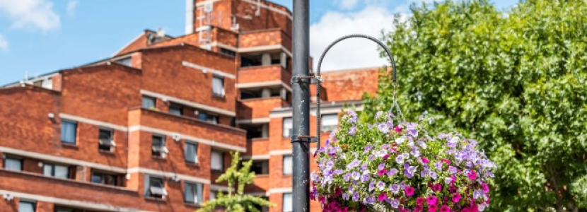 A greener City 