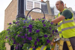 Hanging Baskets 