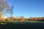 paddington