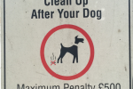 Dog Poo