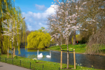 Regent's Park