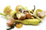 Photo of food waste 