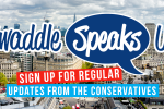 Swaddle Speaks Up