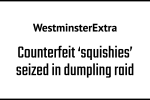 Counterfeit 'squishies' seized in dumpling raid