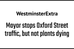 Oxford Street's Plants Left to Die a Year After the Mayor Took Over