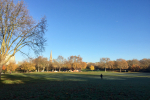 Paddington Recreation Ground