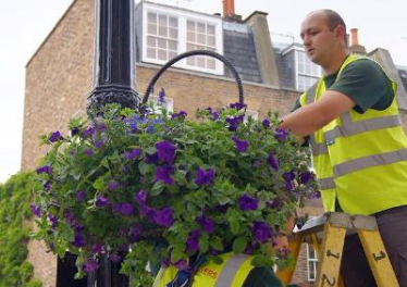 Hanging Baskets 