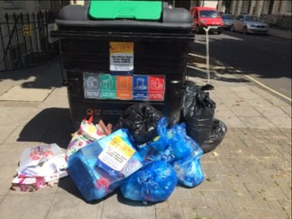 litter