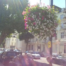 hanging-baskets