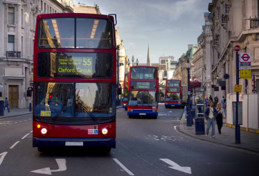 Bus