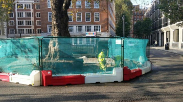 Vincent Square Matters