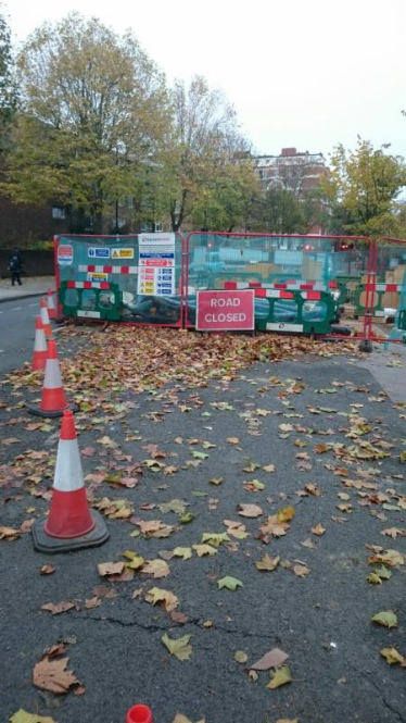 Regent's Park Matters 