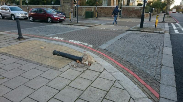 Regent's Park Matters