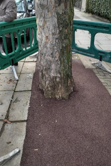 Tree Pits