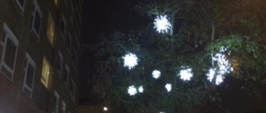 Christmas Lights 
