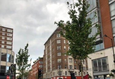 Burwood Place 
