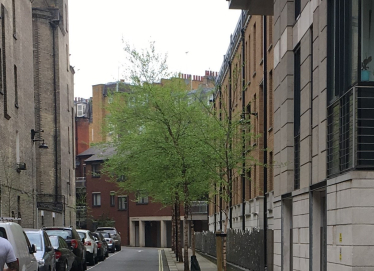 Siddons Lane