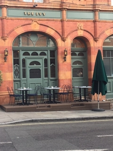 The Ivy