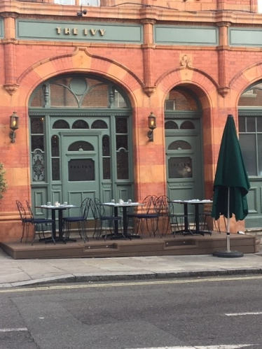 The Ivy