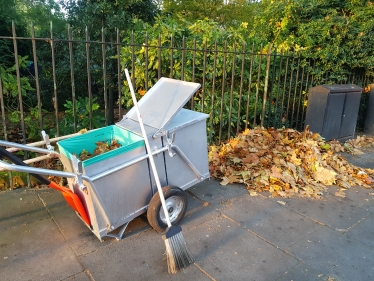 Leaf Clearing