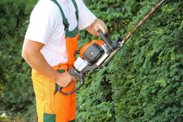 Hedge cutting