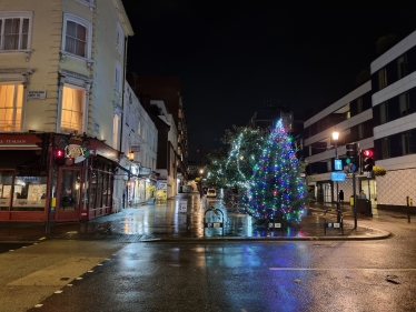 Queensway Tree