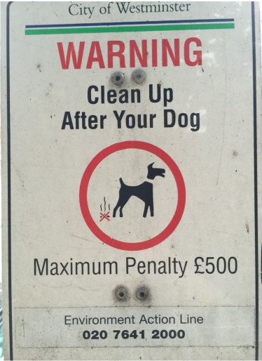 Dog Poo