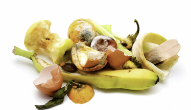 Photo of food waste 