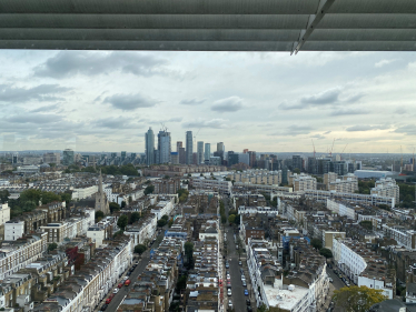 Pimlico skyline
