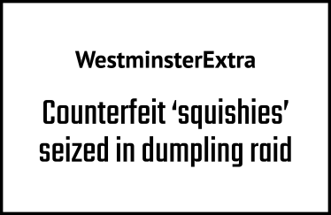 Counterfeit 'squishies' seized in dumpling raid