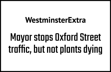 Oxford Street's Plants Left to Die a Year After the Mayor Took Over